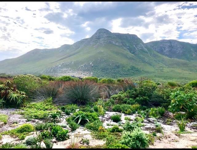 3 BEDROOM HOUSE FOR SALE IN VERMONT